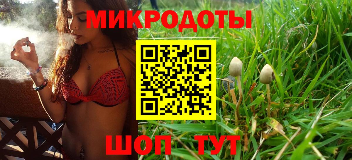 Псилоцибиновые грибы Psilocybe  Псилоцибиновые грибы MAGIC MUSHROOMS  Симферополь  Вход с VPN 